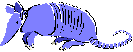 armadillo